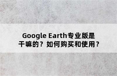 Google Earth专业版是干嘛的？如何购买和使用？